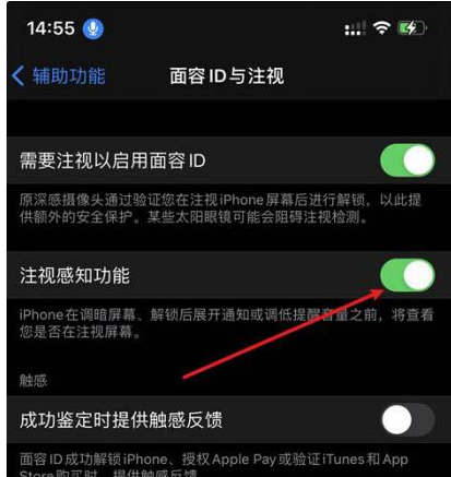 大朗镇苹果14维修网点分享iPhone14注视感知功能有什么用 