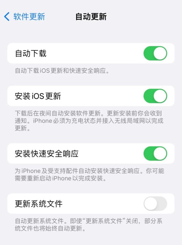 大朗镇苹果手机维修分享苹果快速安全响应更新有必要安装吗 