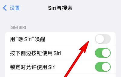 大朗镇苹果13维修分享iPhone 13怎么唤醒 Siri  