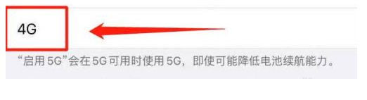 大朗镇苹果13维修分享iPhone 13恒定4G设置方法 