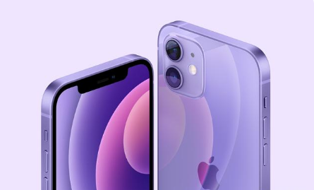 大朗镇苹果手机维修分享紫色版iPhone 12有什么技术亮点 