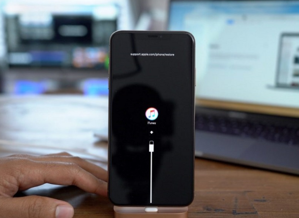 大朗镇苹果手机维修分享iPhone12进DFU教程 