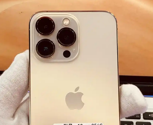 大朗镇苹果13维修中心分享如何在iPhone13上设置动态壁纸